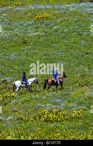 Tourists head out on a trail ride on horseback below Snodgrass Mountain Mount Crested Butte Colorado USA Stock Photo