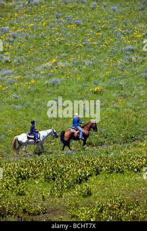 Tourists head out on a trail ride on horseback below Snodgrass Mountain Mount Crested Butte Colorado USA Stock Photo