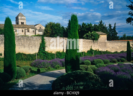 The gardens of the Monastery of St-Paul-de-Mausole in St. Remy de Provence painted by Vincent Van Gogh with lavender Stock Photo