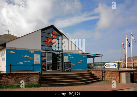 Maryport Aquarium by the Harbour Cumbria Coast England UK Stock Photo