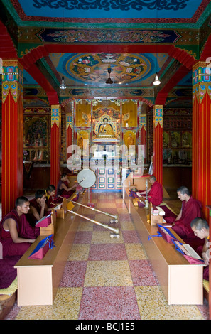 Buddhist monks performing the ritual puja. Drigung Kagyud Gompa. Rewalsar Lake. Himachal Pradesh. India Stock Photo