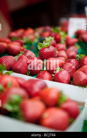 Red strawberries in baskets on display at farmer s market in Oxnard California USA Stock Photo