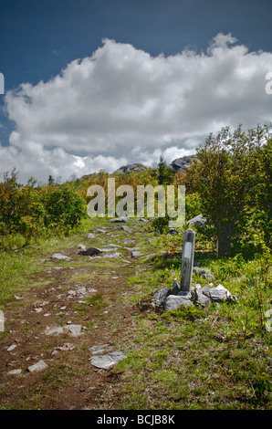 Appalachian Trail on a beautiful day on the border of North Carolina and Virginia in the Grayson Highlands State Park Stock Photo