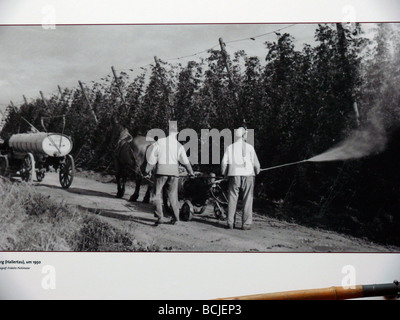 Hops museum in Bavaria, Germany Stock Photo