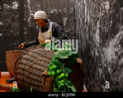 Hops museum in Bavaria, Germany Stock Photo