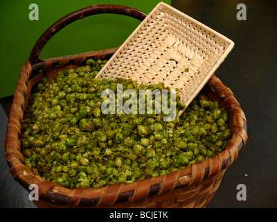 Hops museum in Bavaria, Germany Stock Photo