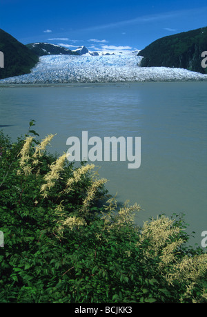 Taku Glacier, Taku Inlet, Juneau. Alaska, USA North America Stock Photo ...