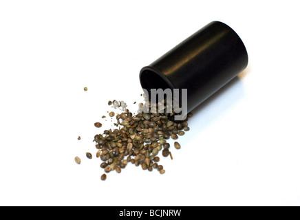 Marijuana seeds Stock Photo