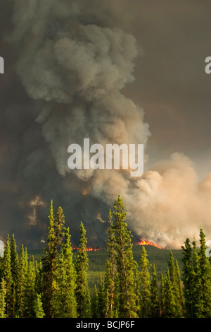 A Massive Forest Fire Near Hwy 395 And Big Pine On The Eastern Side Of 