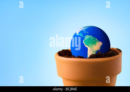 Planet earth in a flower pot