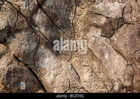 Close up image of cracked rocks Stock Photo
