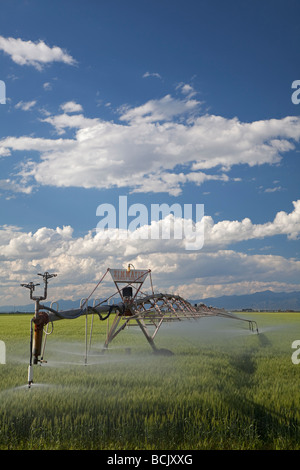 Alamosa Colorado A center pivot irrigation system waters a crop in the high desert of the San Luis Valley Stock Photo