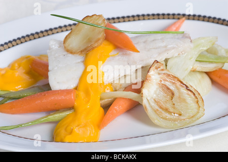 Fennel Zander Stock Photo