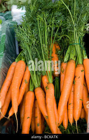 organic carrots on market stall Stock Photo