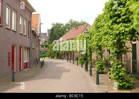 Typical Dutch city lane with trees and pickets on the side Stock Photo