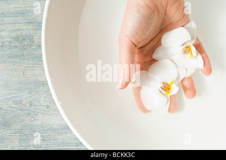 Woman holding orchid flowers