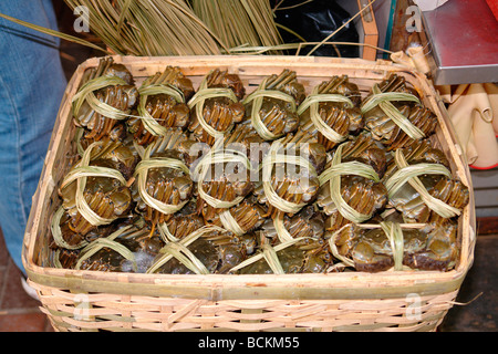 Famous crabs from Yangcheng lake on sale in Autumn time Hong Kong China Stock Photo