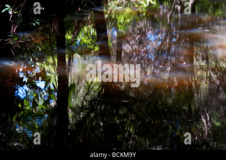Water reflections Stock Photo