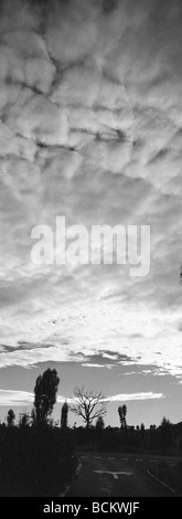 Skyscape over silhouettes of trees, b&w Stock Photo