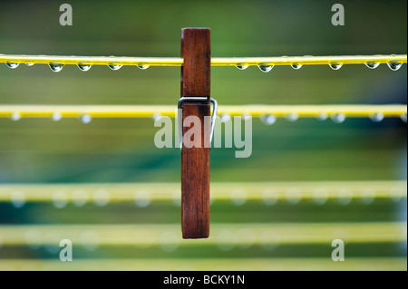 Wooden clothes peg on a wet washing line with waterdrops Stock Photo