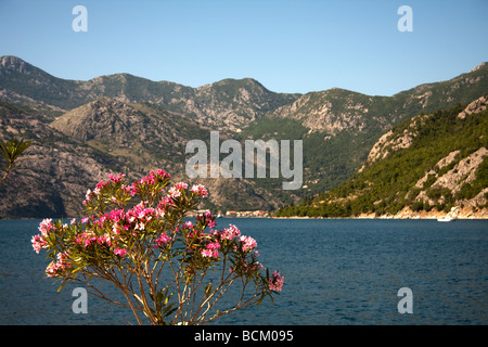 view over the water from Perast Bay of Kotor Montenegro Stock Photo