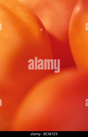 Tomatoes, extreme close-up, full frame Stock Photo