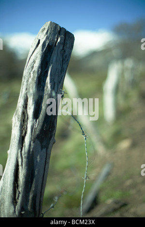 Broken barbed wire fence with strand of hair, close-up Stock Photo