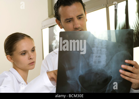 Medical colleagues studying x-ray together Stock Photo