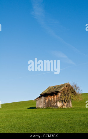 Small wooden barn in grass field, Allgaeu region, Bavaria, Germany Stock Photo