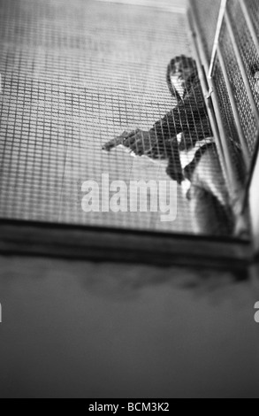 Man waiting with gun, low angle view Stock Photo