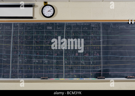 Chalkboard full of scientific equations Stock Photo