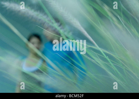 Couple walking together, viewed through tall grass, selective focus Stock Photo