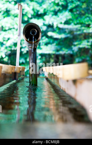 Hand and mouth washing station at Meiji Jingu shrine for people to follow the ritual cleansing before entry into the shrine Stock Photo
