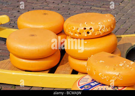 Noord Hollandse Gouda cheese on a yellow barrow at the Alkmaar Cheesemarket, Alkmaar, North Holland, Netherlands. Stock Photo
