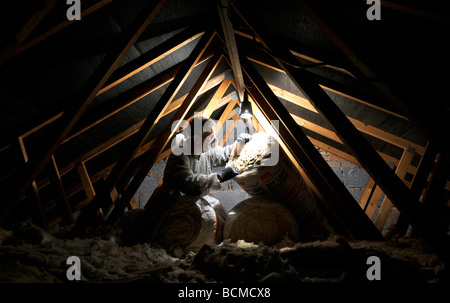 MAN INSULATING A DOMESTIC HOUSEHOLD LOFT WITH  ROLLS OF LOFT INSULATION UK Stock Photo