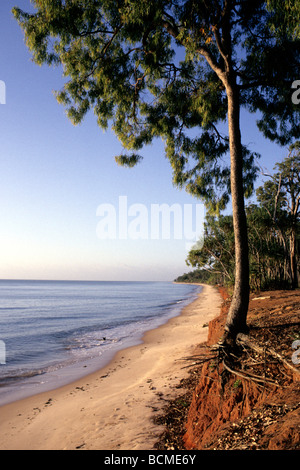 tiwi islands australia Stock Photo