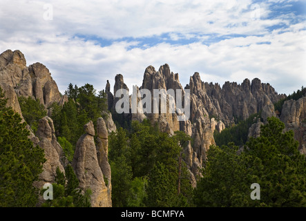 Cathedral Spires (granite spires) along the Needles Highway in the Black Hills, Custer State Park, South Dakota Stock Photo