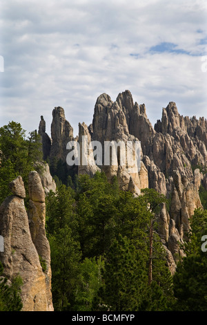 Cathedral Spires (granite spires) along the Needles Highway in the Black Hills, Custer State Park, South Dakota Stock Photo