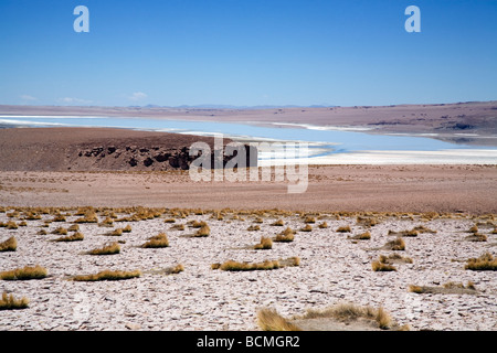 Tara Salt Lake, Andean Altiplano, Chile Stock Photo