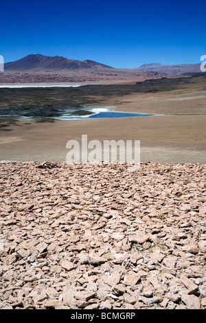 Tara Salt Lake, Andean Altiplano,  Chile Stock Photo