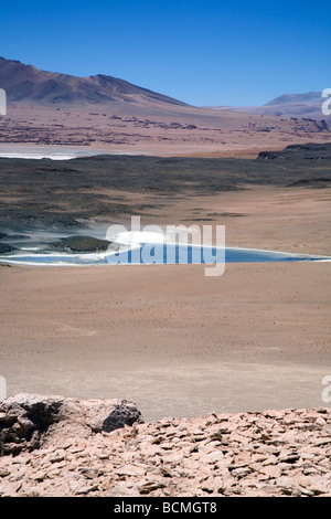 Tara Salt Lake, Andean Altiplano,  Chile Stock Photo