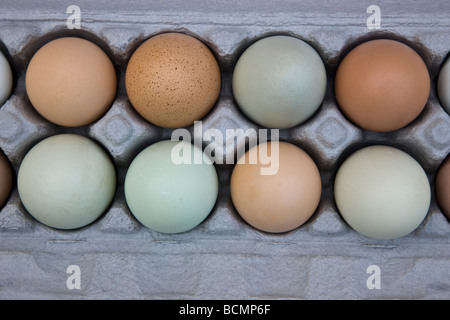 Chicken eggs, natural colors in carton. Stock Photo