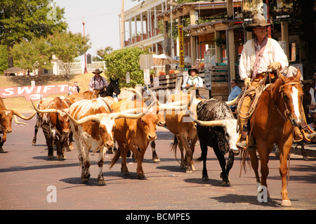 Cattle drive with cowboys at Stockyards in Fort Worth, Texas, USA Stock Photo