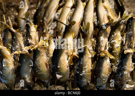 Stack of salted fried fish at a food stall in the market Tokyo japan