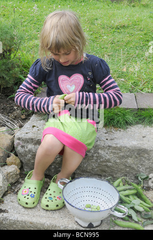 A six year old girl podding freshly picked broad beans Stock Photo
