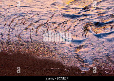 Patterns in sea foam on sandy beach Isle of Lewis Scotland Stock Photo