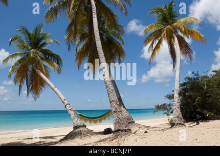 Les Salines Beach with a Hammock between two coconut palms Stock Photo