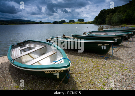 England Cumbria Talkin Tarn Country Park Rowing boats on the shore of the Talkin Tarn near Carlisle Stock Photo