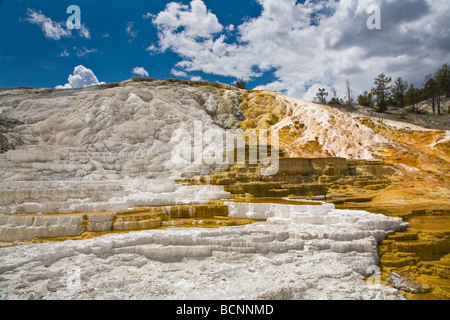 Limestone deposits at Travertine Terraces at Mammoth Hot Springs in Yellowstone National Park in Wyoming Stock Photo