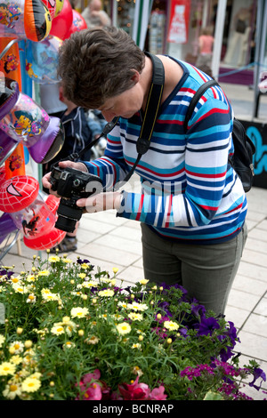 Photographer in Action, Cashel Ireland Stock Photo